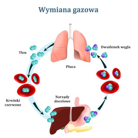 Uk Ad Oddechowy Opis Co To Definicja Poj Cia