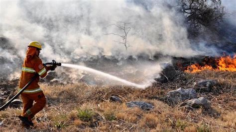 Hay Incendios Forestales En Corrientes Entre Ríos San Luis Y Chubut