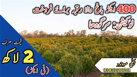 Agriculture Land For Sale In Punjab Pakistan Land For Sale In Punjab