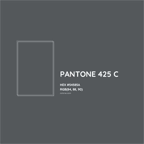 PANTONE 425 C Complementary or Opposite Color Name and Code (#54585A) - colorxs.com