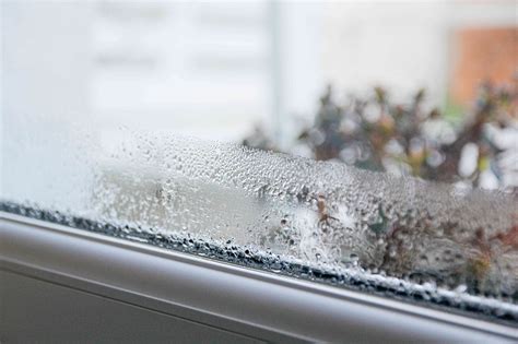 What Happens to Your Home in the Humidity?