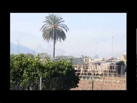 Quejas Vecinales Por El Humo Que Se Deriva De La Quema De Alpacas De