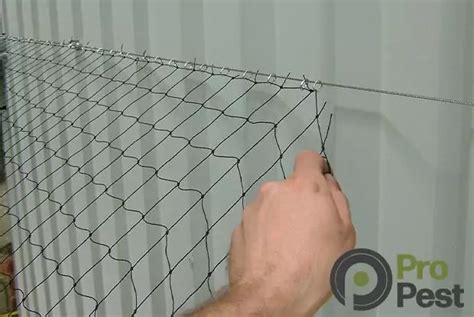 Pigeon Netting Examples - Pest Control Products