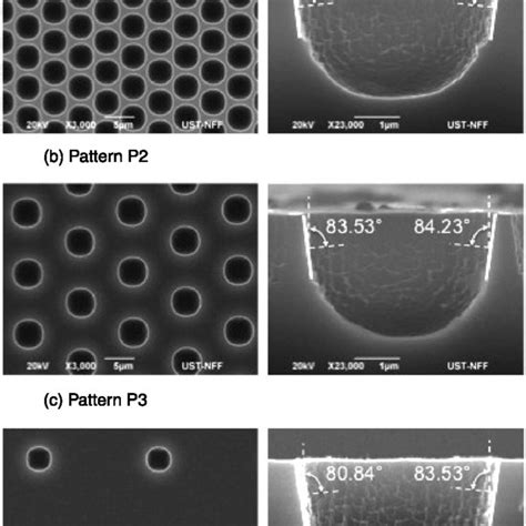 Scanning electron microscopy (SEM) images of representative three ...