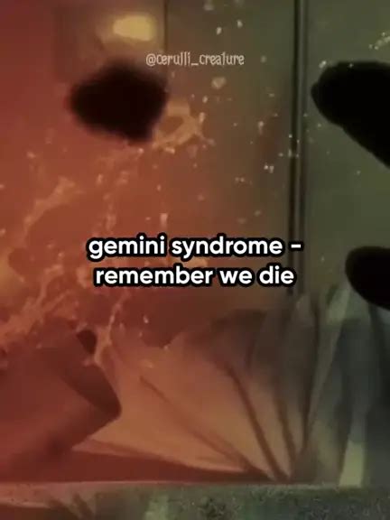 Gemini Syndrome Gemini Syndrome