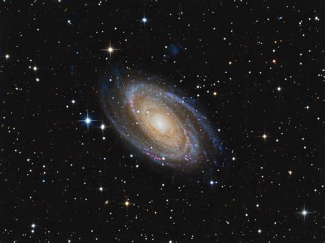 M81 NGC 3031