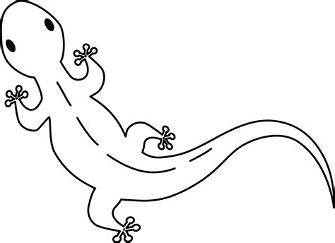 Gecko Coloring Page ColouringPages