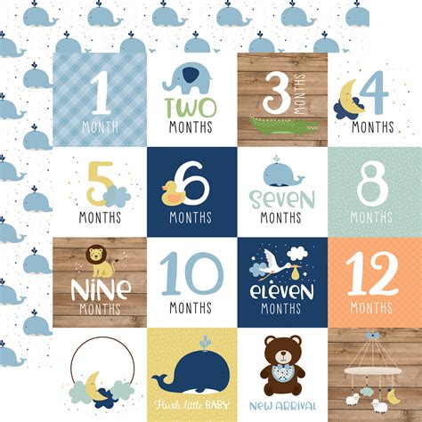 Baby Boy: Milestone Cards 12x12 Patterned Paper - Echo Park Paper Co