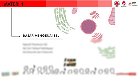 Solution Biologi Sel Dan Genetika Bagian Studypool