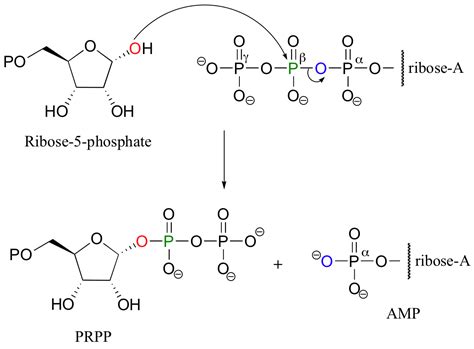 10.2: Phosphorylation reactions - kinase enzymes - Chemistry LibreTexts