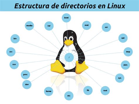 Estructura De Directorios En Linux Felipe Jurado