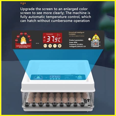 Eggs Dual Power Incubator Digital Automatic Egg