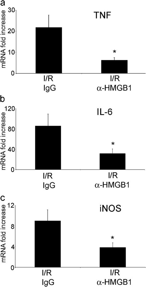 Neutralizing Antibody To HMGB1 Decreases Production Of Inflammatory