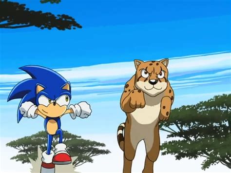 Hedgehogs Can T Swim Sonic X Episode 1 18 The Dam Scam