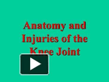 Ppt Anatomy And Injuries Of The Knee Joint Powerpoint Presentation