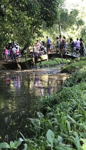 Parque S O Bartolomeu Sabia Que Existem Cachoeiras Dentro De Salvador