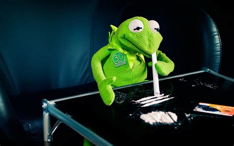 Free download | HD wallpaper: kermit the frog cocaine 1680x1050 Animals ...