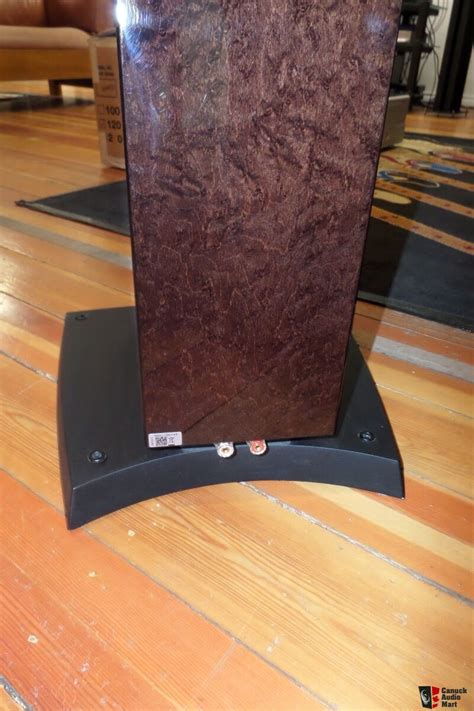 Dynaudio C Platinum Floorstanding Speakers Mocca High Gloss Finish