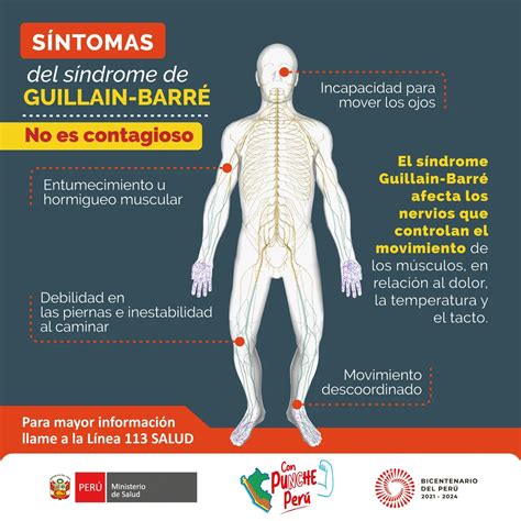 Guillain Barré Bacteria Que Se Encuentra En El Pollo Sería La Causa Del