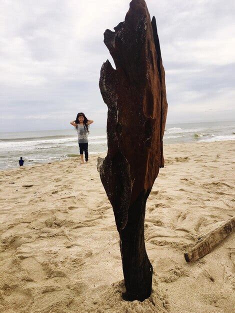 Premium Photo Girl And Driftwood At Beach Against Sky