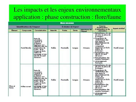 PPT Etude Dimpact Environnemental Et Social PowerPoint Presentation