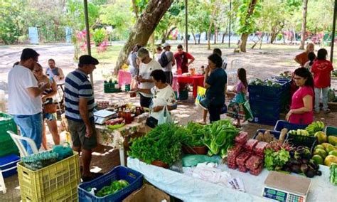 S Bado Tem Feira Agroecol Gica Na Rea Adahil Barreto Do Coc