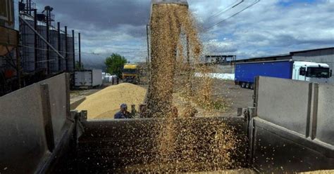 Not Acceptable Says Eu After Poland And Hungary Ban Ukraine Grain