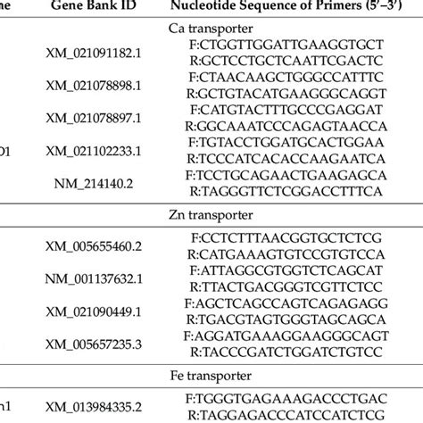 Sequence Of Primers For Real Time Polymerase Chain Reaction Download