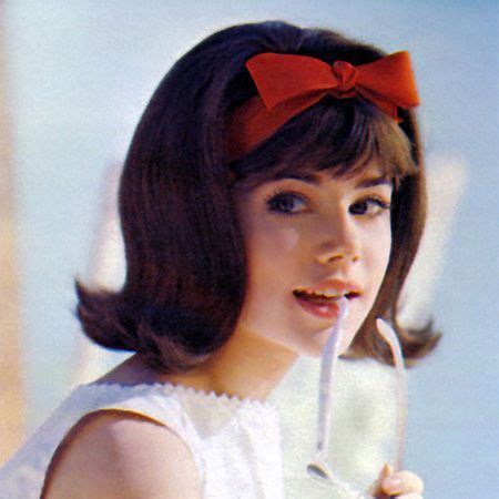 9+ Divine Popular 1960s Hairstyles For Women