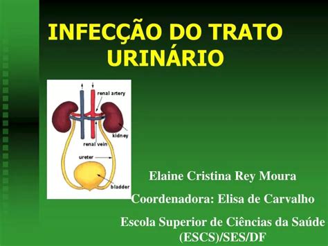 Ppt InfecÇÃo Do Trato UrinÁrio Powerpoint Presentation Free Download