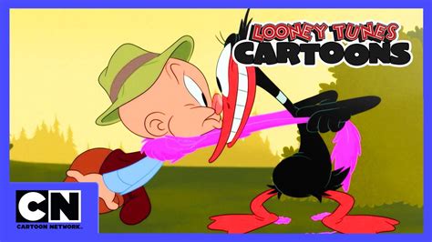 Looney Tunes Cartoons Vogelbeobachtung Cartoon Network Youtube