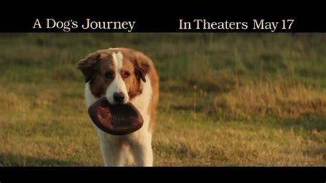 A Dog's Journey TV Movie Trailer - iSpot.tv