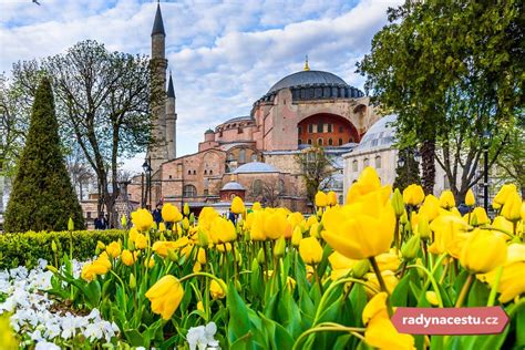 Tulipánový Festival V Istanbulu Vítání Jara A Květinový Koberec Z