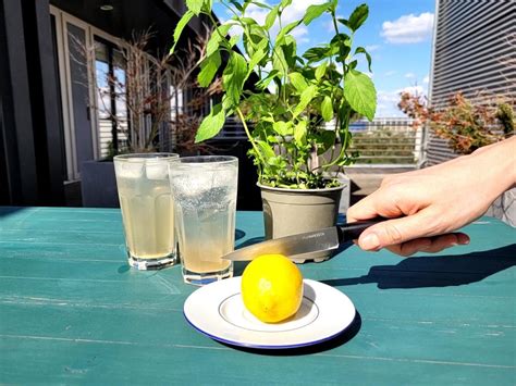 Diy Erfrischender Bio Cocktail Der Nachhaltige Warenkorb