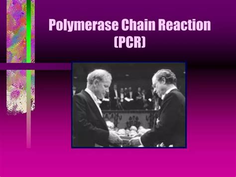 Ppt Polymerase Chain Reaction Pcr Powerpoint Presentation Free Download Id 446518