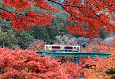 Cu L Es La Mejor Poca Para Viajar A Jap N Gu A