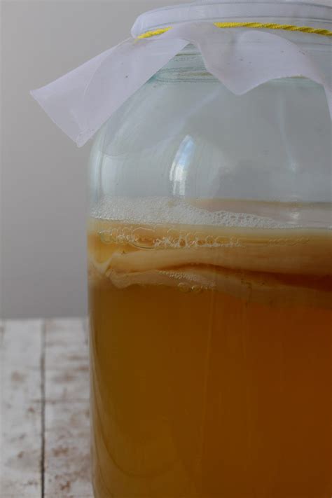 Kombucha O Que é E Como Preparar Santo Legume