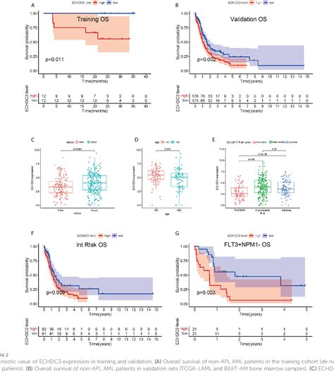 Figure 2 From Comprehensive Analysis Of ECHDC3 As A Potential Biomarker