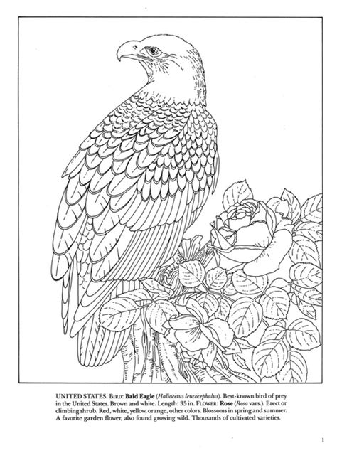 State Birds And Flowers Coloring Book