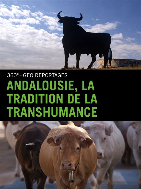 Prime Video Andalousie La Tradition De La Transhumance