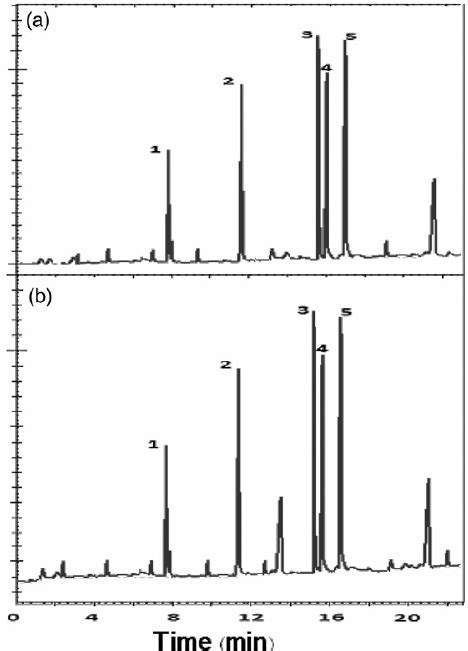 Gc Chromatogram Obtained From Extraction Of River Water Sample A Download Scientific Diagram