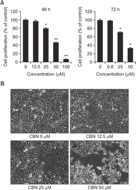 Growth Inhibitory Effects Of Cbn In Hct Human Colon Cancer Cells