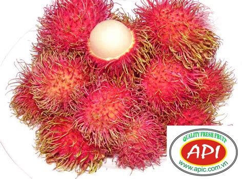 Rambutan Productstaiwan Rambutan Supplier