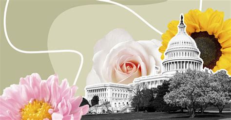 12 Best Washington DC Flower Delivery Services (2024) - Petal Republic