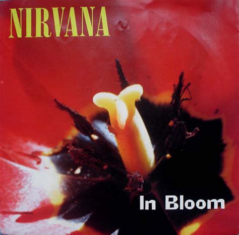 Nirvana - In Bloom (1992, Vinyl) | Discogs