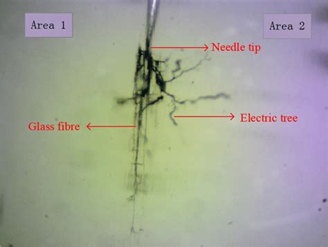 Parallel Glass Fibre Reinforced Epoxy Resin Electrical Dendrite