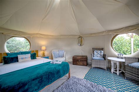 15 Best Glamping Destinations in New Forest, UK