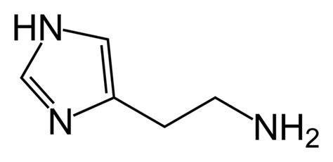 Enterochromaffin-like cell - wikidoc