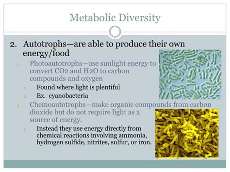 PPT Bacteria PowerPoint Presentation ID 2800995