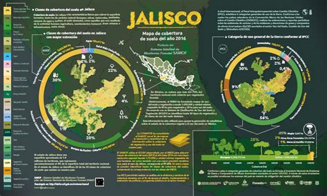 Infomapa De Cobertura De Suelo De Jalisco 2016 — Ideforcnfgobmx